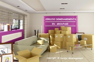Cerdjio Déméngements Garde meubles